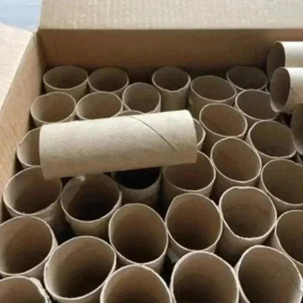 Empty Toilet Paper Rolls (120)
